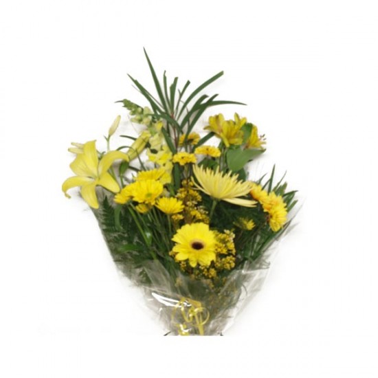 Le bouquet plein de soleil Le bouquet plein de soleil